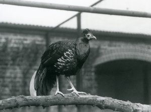 1928