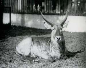 1928