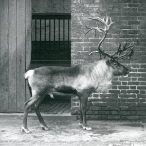 1925