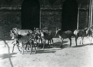 1924