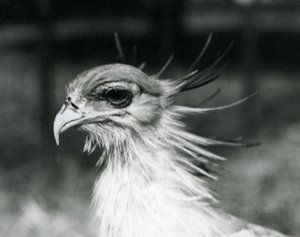 1928