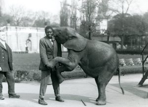 Genç bir Afrika Cüce Fili arka ayakları üzerinde durup Afrikalı antrenörünü kucaklarken, kaleci seyrediyor, Londra Hayvanat Bahçesi, Temmuz 1925 by Frederick William Bond