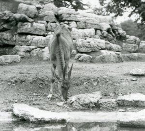 1929