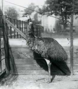 Eylül 1927