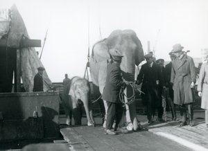 1927