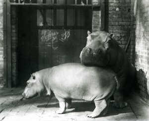1927