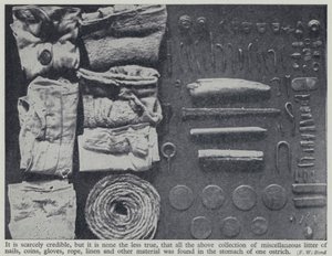 Bir devekuşunun midesinde bulunan eşyalar (s/b fotoğraf) by Frederick William Bond