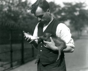 Gardiyan Harry Warwick şişe Ağustos 1922