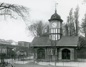 Deve Evi. Londra Hayvanat Bahçesi by Frederick William Bond
