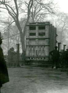 Dişi Asya Fili Lukhi