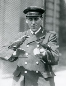 Bekçi Thomas Raggett