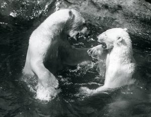 1926