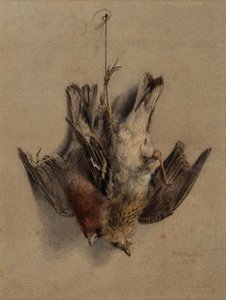  by Frederick William Jackson
