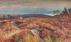 Heath Lytchett Minster Üzerine, c1904