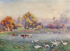 Abbey Fields, Kenilworth