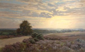 Burley Yolu by Frederik Golden Short