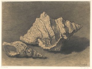 iki kabuk by Frederik Willem Zürcher