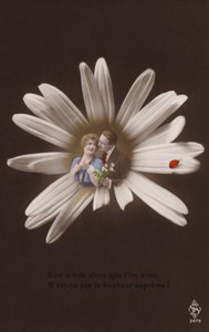 Uğur böceği ile bir çiçeğin ortasında genç bir çift (renkli fotokolaj) by French Photographer