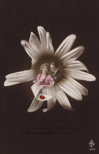 Uğur böceği ile bir çiçeğin ortasında genç bir çift (renkli fotokolaj) by French Photographer