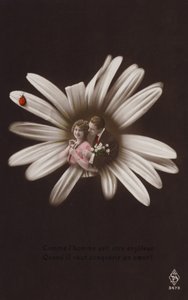 Uğur böceği ile bir çiçeğin ortasında genç bir çift (renkli fotokolaj) by French Photographer
