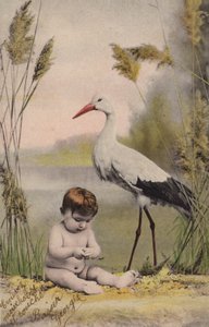 leylek ile bebek by French Photographer