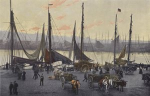 Boulogne-sur-Mer, Ringa balığı avcılığı için hazırlıklar by French Photographer