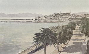 Cannes, Liman ve Eski Şehir, Boulevard de la Croisette by French Photographer