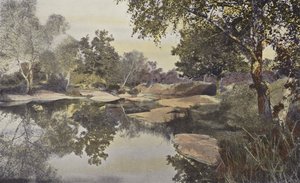 Fontainebleau, Foret, Mare de Franchard by French Photographer