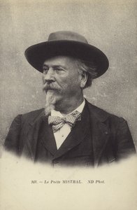 Frederic Mistral (1830-1914), Fransız şair ve Oksitanca sözlük yazarı by French Photographer
