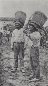 Üzüm toplayıcıları iş başında (s/b fotoğraf) by French Photographer
