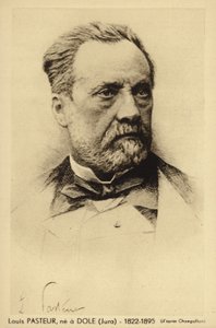 Louis Pasteur (1822-1895), Fransız kimyager ve mikrobiyolog by French Photographer