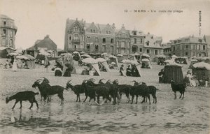 Mers - plajın bir parçası. 1913 yılında gönderilen kartpostal. by French Photographer