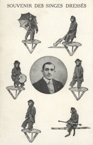 Kostümlü maymunlar by French Photographer