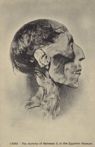 Ramses II