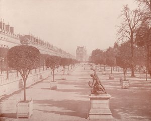Paris: Orangerie, Tuileries Bahçesi (s/b fotoğraf) by French Photographer