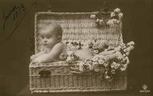 Ocak 1913'te gönderilmiş, çiçekli hasır sepet içinde bir bebek kartpostalı by French Photographer