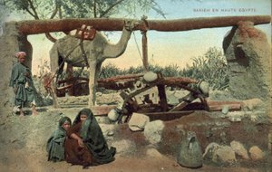 Sakia, Yukarı Mısır (renkli fotoğraf) by French Photographer