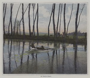 Avdan kaçmak için yüzen geyik (renkli fotoğraf) by French Photographer
