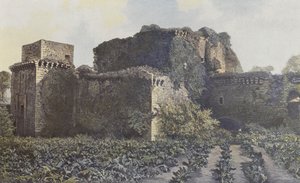 Tiffauges, Chateau Harabeleri, Avludan Görünüm by French Photographer