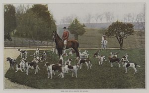 Tom Firr ve Quorn Hunt köpekleri, Leicestershire (renkli fotoğraf) by French Photographer