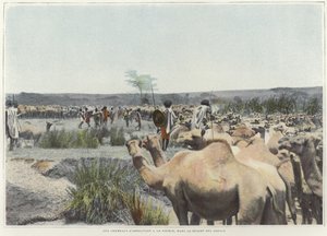 Çölde kaynağında develeri sulamak by French Photographer