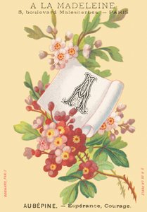 A: Aubepine - Esperance, Cesaret by French School