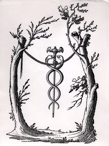 Caduceus