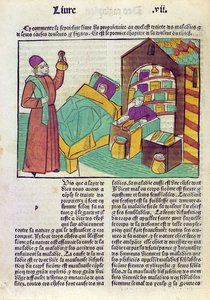 Barthelemy lAnglais tarafından Le Livre des Proprietes des Choses