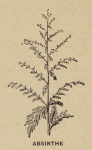 Absinthe (gravür) by French School