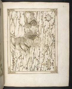 Add MS 21117 f.7r Le Monthullin, Fransa, François Martilleur tarafından Maximilien de Béthune için hazırlanan 