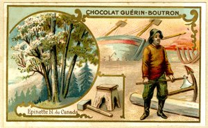 Guérin Boutron çikolatalarının reklam kromolitografisi (kromolitografi) by French School