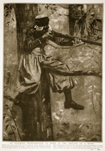 Cezayirli bir Keskin Nişancı, bir ormanın sığınağında iş başında, 1914-19 by French School
