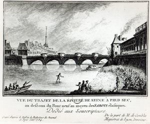 Seine Nehri