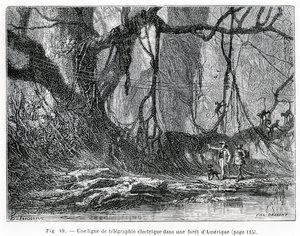 Bir Amerikan ormanındaki elektrikli telgraf hattı, 1870 dolayları (gravür) by French School